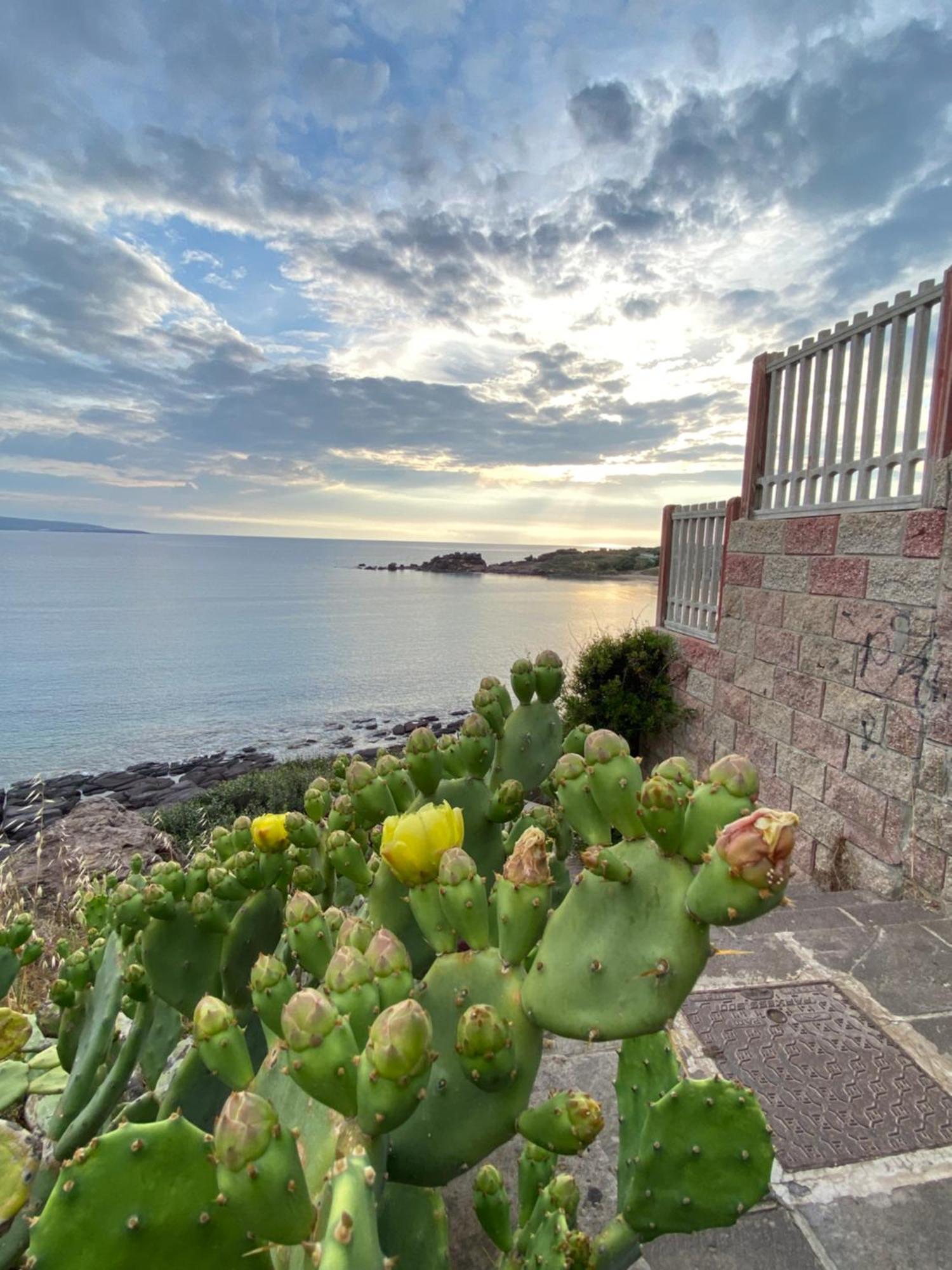Juniper Bay Bed and Breakfast Portoscuso Exteriör bild